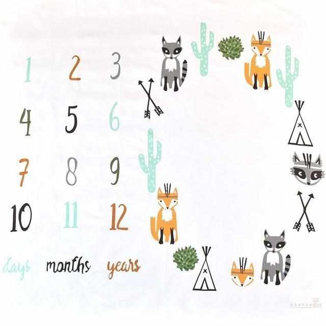 Funny Monthly Milestone Baby Blankets-Receiving Blankets-Babyshok